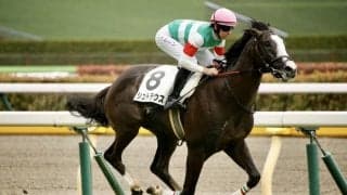 【新馬/東京5R】東の1番星はシュトラウス…馬なりで9馬身差V