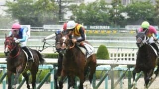 【阪神5R新馬戦結果】サトノアーサーの半妹アトロルーベンスが鋭く差し切る