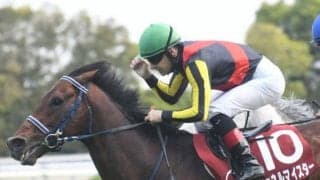 【安田記念・馬体重】シュネルマイスターは490kg(増減なし)、ソダシは486kg(-2)