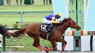 【小金井特別】マニバトラが人気に応える…エリカコレクトは落馬競走中止