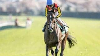 【エプソムC】インダストリア、ジャスティンカフェらが登録