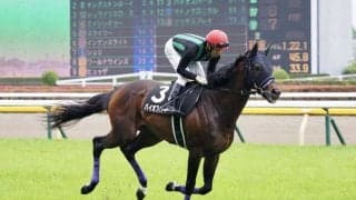 バイオスパークが競走馬登録抹消