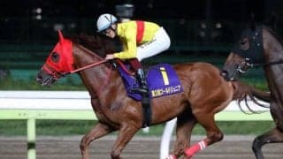 東京10R麦秋Sに出走 コパノミッキーが予後不良に