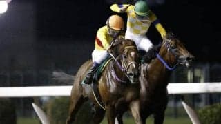 コパノミッキーが予後不良に 4日の出来事一覧/東京・阪神