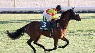 【エプソムカップ登録馬】ジャスティンカフェなど18頭