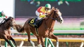 【函館スプリントS見どころ】トウシンマカオが仕切り直し 重賞2勝目なるか