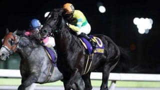 【先週のJRA抹消馬】ダートグレード競走6勝のサクセスエナジー、20年福島記念の覇者バイオスパークなどが抹消