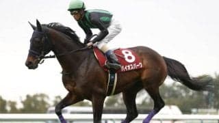 20年の福島記念を制したバイオスパークが引退 今後は馬事公苑で乗馬に