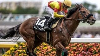 【エプソムC想定騎手】ジャスティンカフェは横山和生騎手、マテンロウスカイは横山典弘騎手