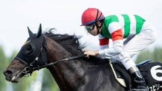 洋芝で好成績残すジュビリーヘッド 安田隆行厩舎に函館SS4勝目をもたらすか