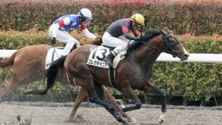 【東京3R】コレクテイニアが人気に応えて初勝利