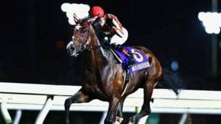 【東京ダービー枠順】羽田盃6馬身差圧勝のミックファイアは6枠12番