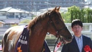 7歳馬の活躍が目立つ年 キングカメハメハ×ダンスインザダークは相性良好