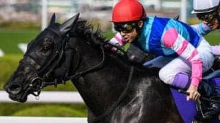 武豊騎手が函館SSの3勝目狙う コンビ復活のウォーターナビレラを勝利に導くか