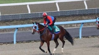 スペシャルディナーの2021(タガノエクレール)など、先週のゲート試験/栗東トレセンニュース