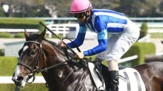 【函館SS展望】サマーシリーズ開幕戦、近年は時計が出て前有利に