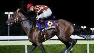 1着賞金5000万の大一番 19年ぶりに無敗のダービー馬誕生なるか/東京ダービー注目馬