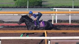 ジャスティンパレス、宝塚記念2週前追い切り速報/栗東トレセンニュース