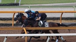 ヴェラアズール、宝塚記念2週前追い切り速報/栗東トレセンニュース