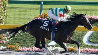 新種牡馬エピカリス産駒が初勝利！ 門別でトレドの弟サントノーレV