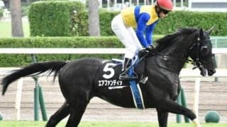 かつてヒシアマゾンやアグネスデジタルらが達成 史上8組目の記録かかるエプソムカップ