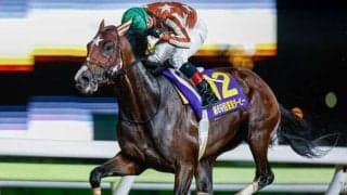 【大井・東京ダービー結果】ミックファイアが6馬身差の圧勝！5戦無敗の二冠達成