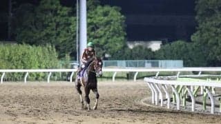 【東京ダービー】渡邉和師「JRA勢を迎え撃って頑張りたい」ミックファイアが無敗の2冠達成