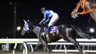 【東京ダービー】森泰斗「勝ち馬を褒めるしかない」ヒーローコールはまたしても2着