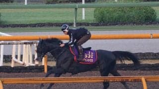 イクイノックス、宝塚記念2週前追い切り速報/栗東トレセンニュース