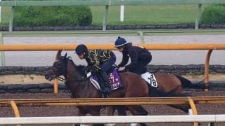 ダノンザキッド、宝塚記念2週前追い切り速報/栗東トレセンニュース