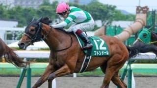 3歳牝馬が強さ発揮する函館SS 今年は例年にも増して強力ラインナップ