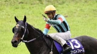 ファストフォースが競走馬登録抹消
