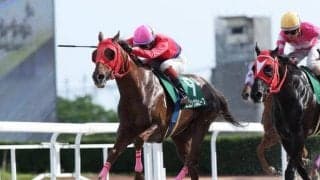 【笠松・飛山濃水杯結果】ヒロシゲウェーブが好位から押し切り重賞初制覇