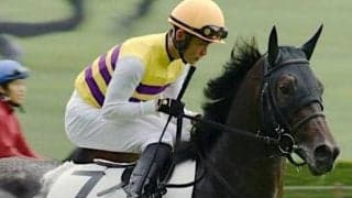 末脚自慢のニシノライコウ 初の古馬相手でも難なく突破だ