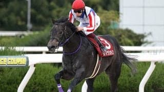 オマツリオトコやペリエールなど ユニコーンS出走想定馬15頭