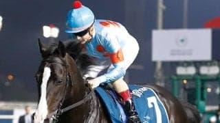 イクイノックスやジェラルディーナなど 宝塚記念出走想定馬18頭