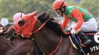 前走最下位も鼻出血では参考外 シゲルカチョウがうっ憤を晴らす