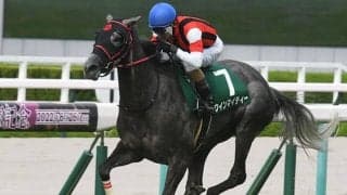 ウインマイティーやビッグリボンなど マーメイドS出走想定馬14頭