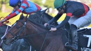 近2戦の敗因は道悪が全て タイムオブフライトが良馬場で巻き返す