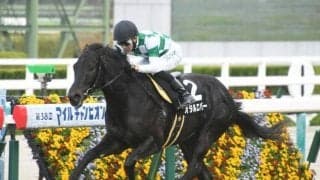 【今日の注目ポイント】函館開催がスタート 阪神メインでオタルエバーが1年ぶりに復帰など