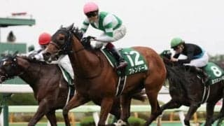 函館スプリントＳは「函館・芝1200ｍ」で連対率33.3％を誇る種牡馬に注目 人気薄のロードカナロア産駒に激走データも