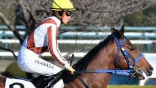 サイレンスタイムの出来は文句なし 土曜阪神7Rで巻き返しだ