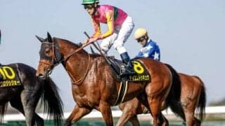 函館芝は内＆前有利 テイエムトッキュウの逃げ切りだ