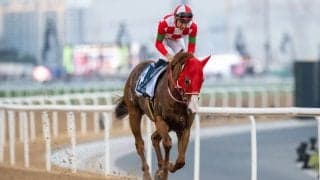 ジャスティンが競走馬登録抹消