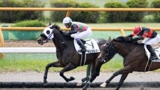 【函館6R】武豊 ダンツビガーが断然の人気に応える…ハナ差で逃げ切り