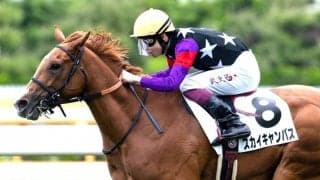 【新馬/函館5R】ファインニードル産駒 スカイキャンバスが断然人気に応える