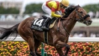 【今日の注目ポイント】東京でエプソムC サマースプリント初戦の函館スプリントS