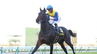 【エプソムC予想】波乱含みの一戦 今年は馬場状態も予想のポイントに