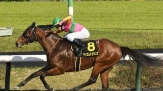 近年の函館スプリントＳは前が有利な傾向 今年はスピード秘める人気落ちの実力馬２頭が波乱を演出か