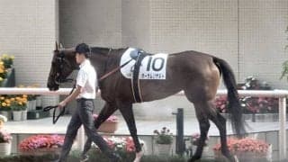 【阪神12R】デビュー2連勝オーサムリザルトは放牧へ